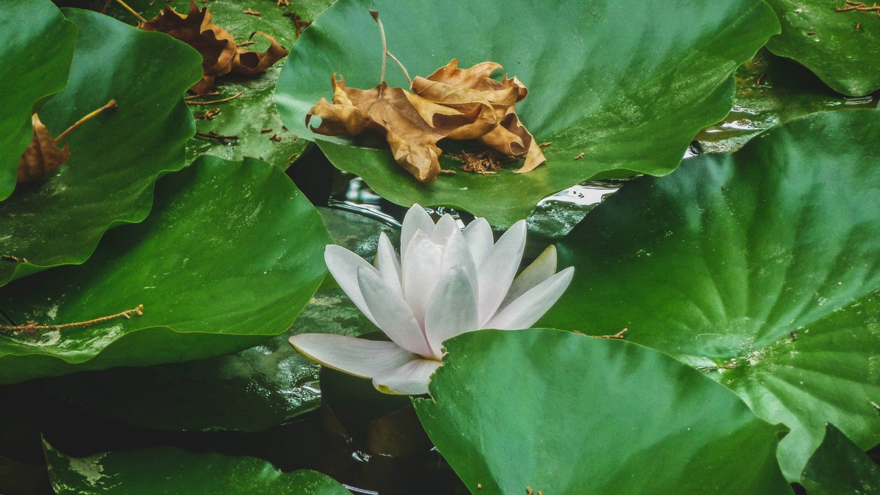 pic2897500.jpg