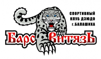 Логотип детского спортивного клуба  "Барс-Витязь"
