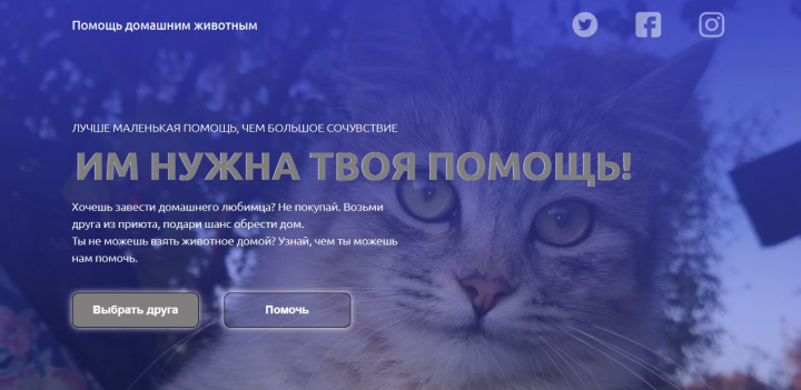 Помощь бездомным животным