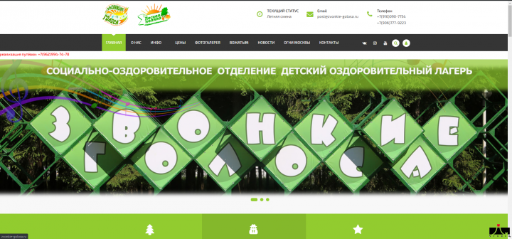 Сайт для Детского Оздоровительного Лагеря "Звонкие голоса"