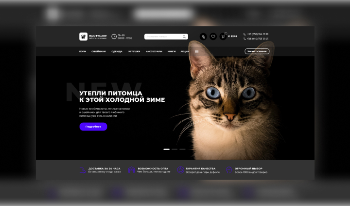 Дизайн интернет-магазина товаров для питомцев HAIL-FELLOW