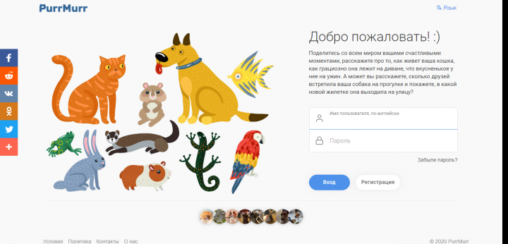 Социальная сеть для домашних питомцев "PurrMurr"