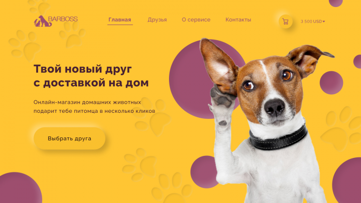Дизайн сайта  для интернет-зоомагазина