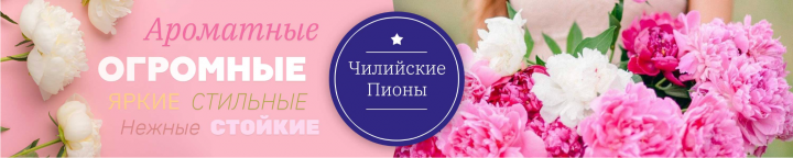 Работа 3829036
