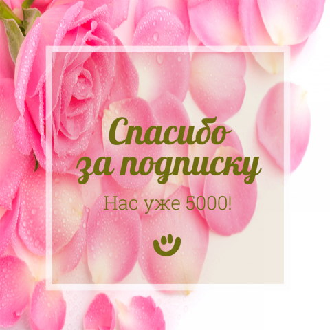 Дизайн постов в ВК, инстаграм