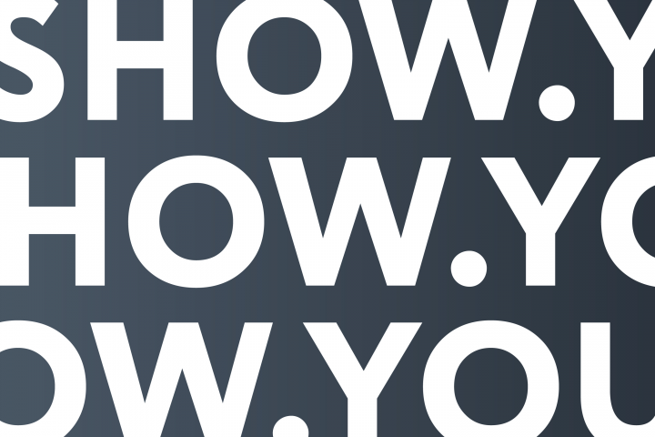 Проект Show You