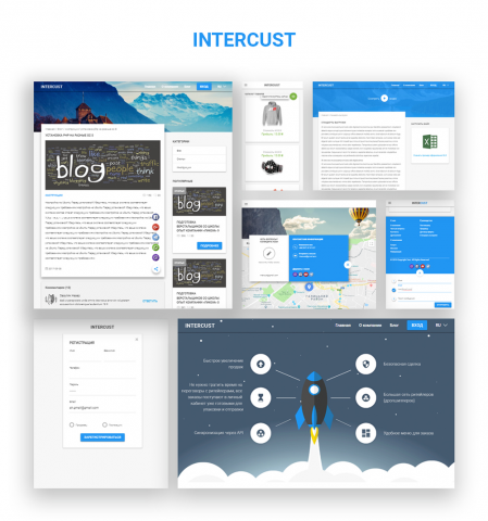 Dropshipping System "Intercust"