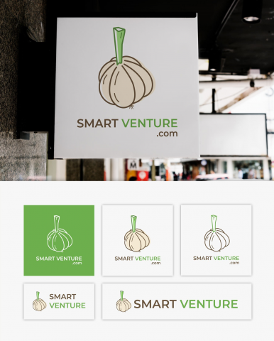 Smart Venture Logo Design