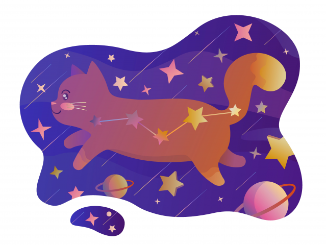 Космический кот