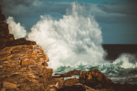 Работа 2237492