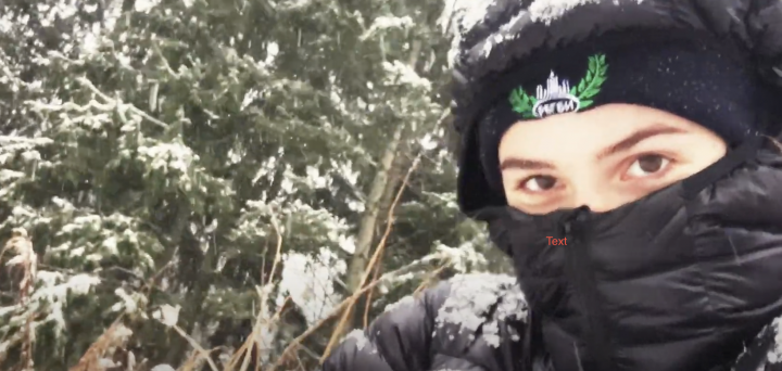 Snowfall