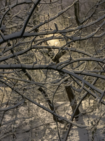 Snow