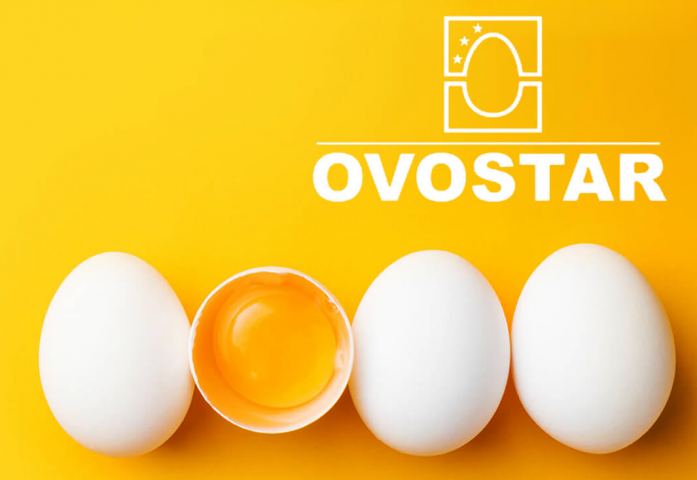Корпоративный ролик "OVOSTAR UNION"