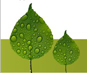 разработка комплекта полиграфии