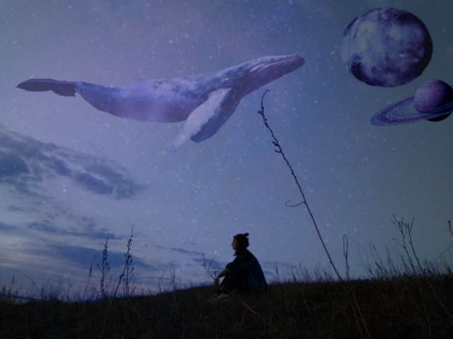 Космический кит