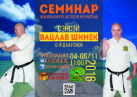 Афиша мастер-класса чешского сенсея