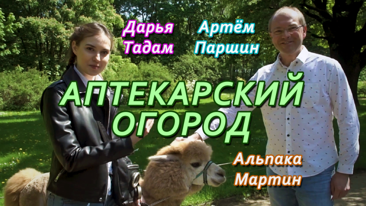 Репортажная съемка