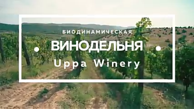 Проект В.И.Н.О. - UPPA