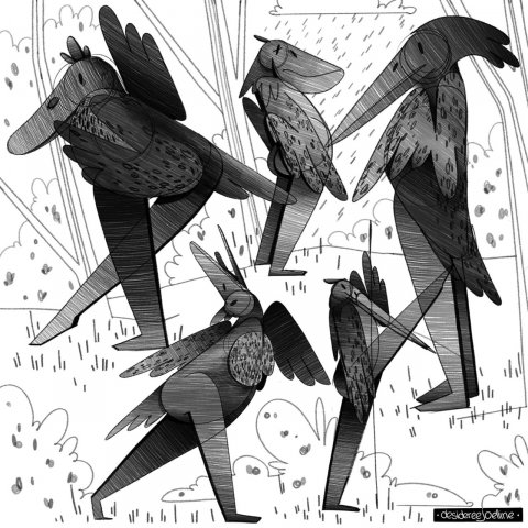birds