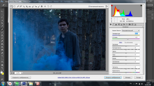 Ретушь фотографии (было)