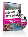 Работа 982246