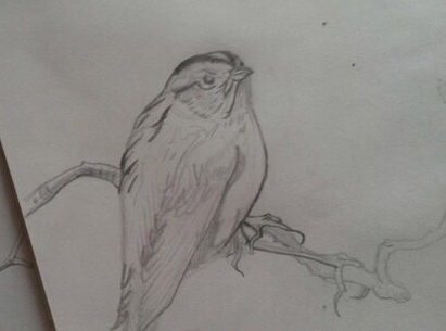 Работа 4173589