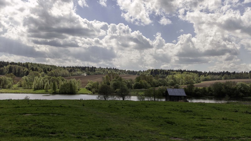 pic4173543.jpg