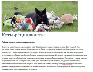 Коты-рецидивисты