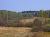 Работа 1589063