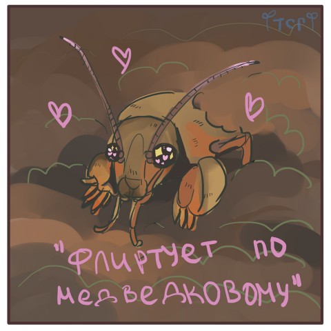 медведка (стр 6)