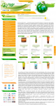 Натуральная косметика Desert Essence для магазина Здоровый дом