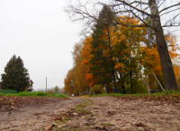 Работа 2941706