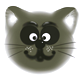 kitty