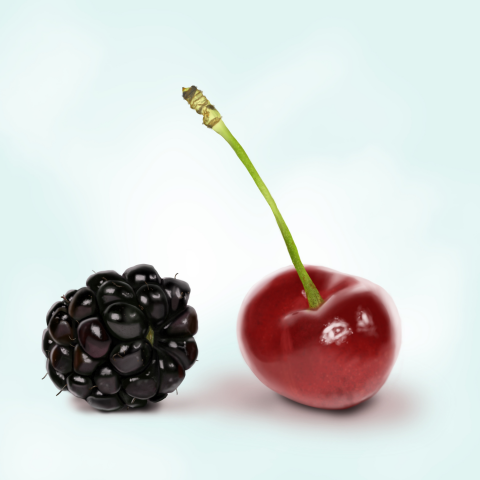 Food иллюстрация реализм