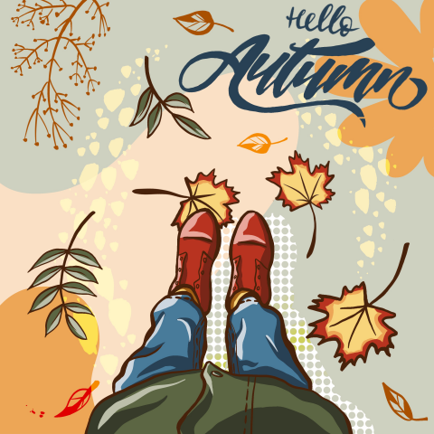 Flat Lay иллюстрация