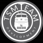 Логотип сайта TSMteam
