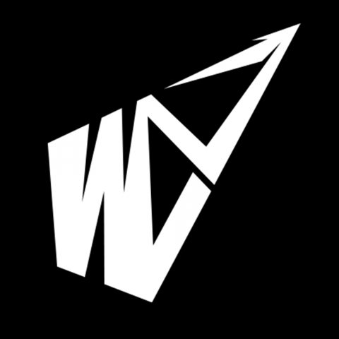 Лого "Way of the Champion"