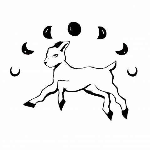 иллюстрация ягненок