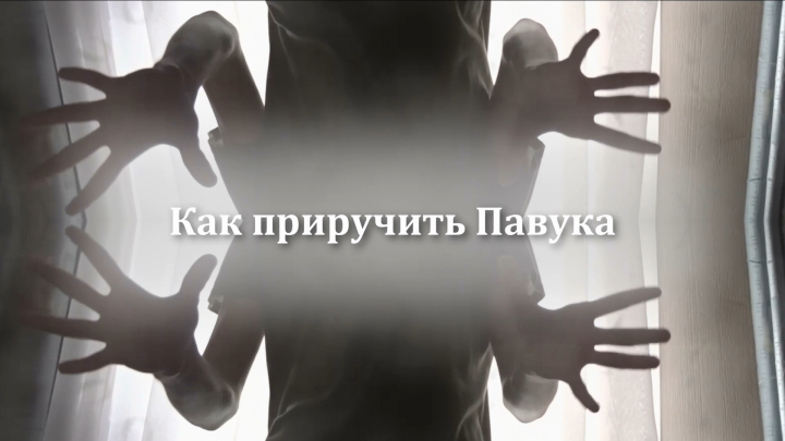 Съёмки х/ф araignee (Павук) (2020)