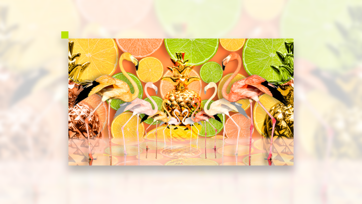 Collage all inclusive