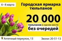 Баннер №1 «Городская ярмарка тюльпанов».