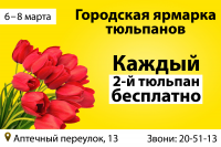 Баннер №2 «Городская ярмарка тюльпанов».