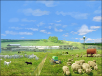 Диплом по педагогике (биологич. мышление школьников)