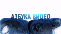 Образцы заставок для видео
