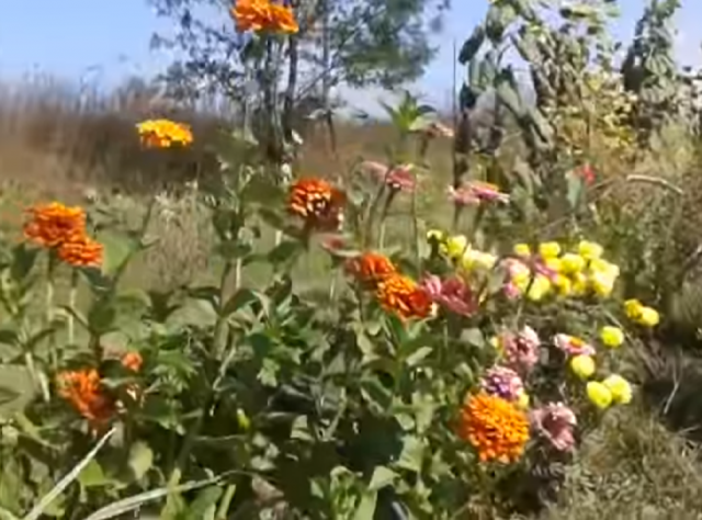 Пре-ролл для видео канала на Ютьюбе