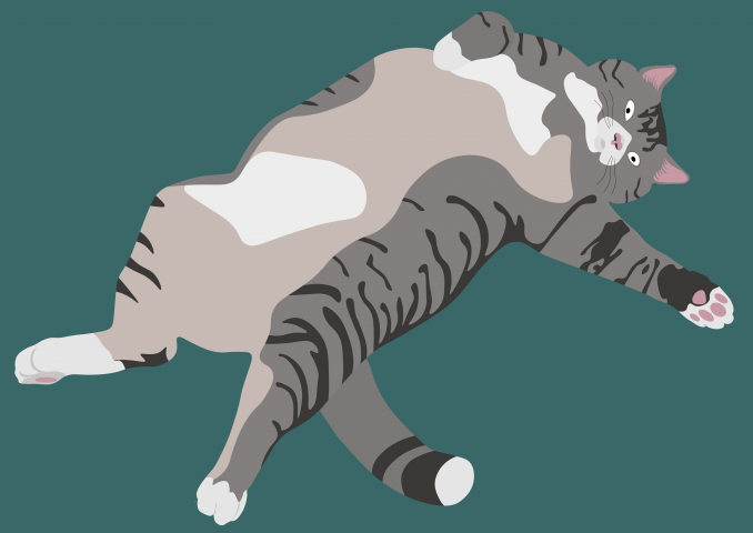 кот