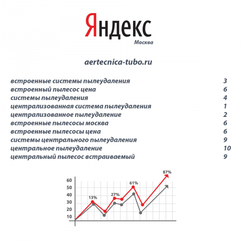 Продвижение сайта по пылесосам Тубо