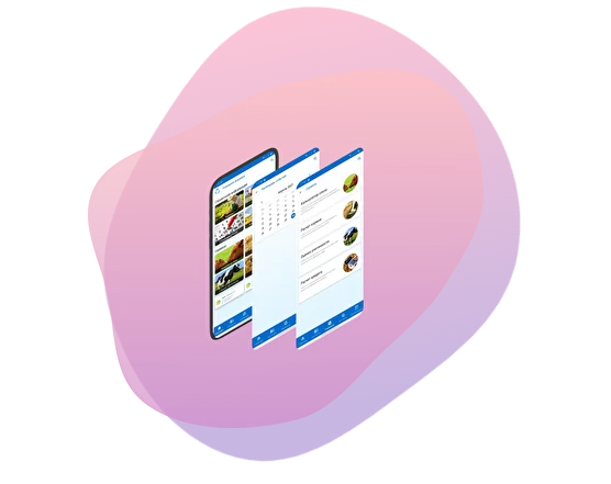 Разработка мобильного приложения для фермеров