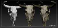 Cow_skull