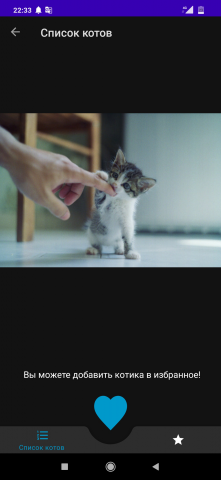 Мобильное приложение